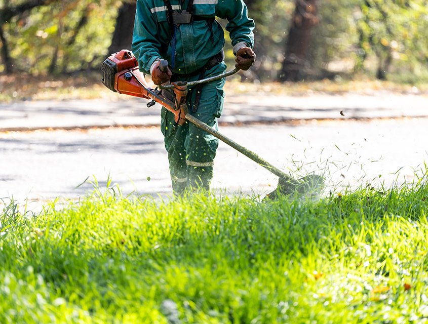 Landscape Contractors